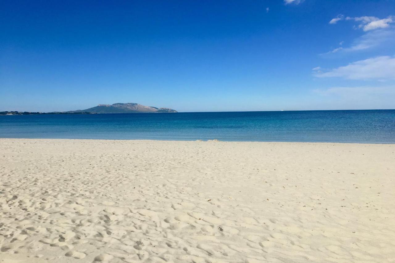 Le Dimore Di Nettuno Olbia Kültér fotó