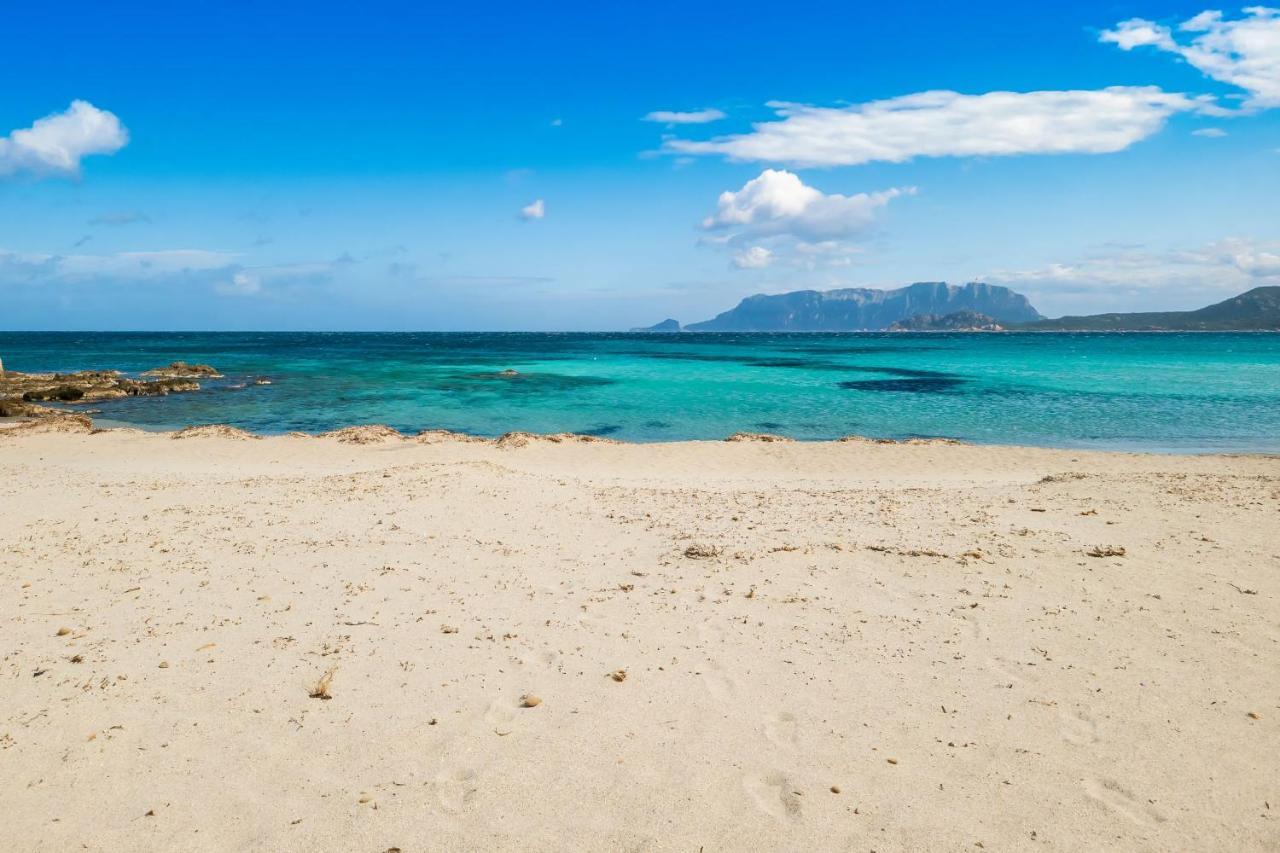 Le Dimore Di Nettuno Olbia Kültér fotó