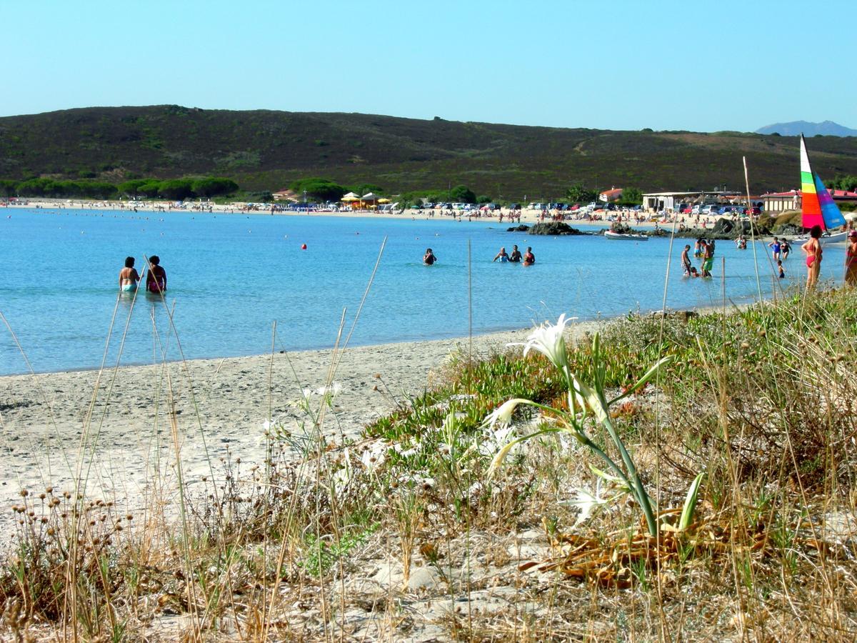 Le Dimore Di Nettuno Olbia Kültér fotó